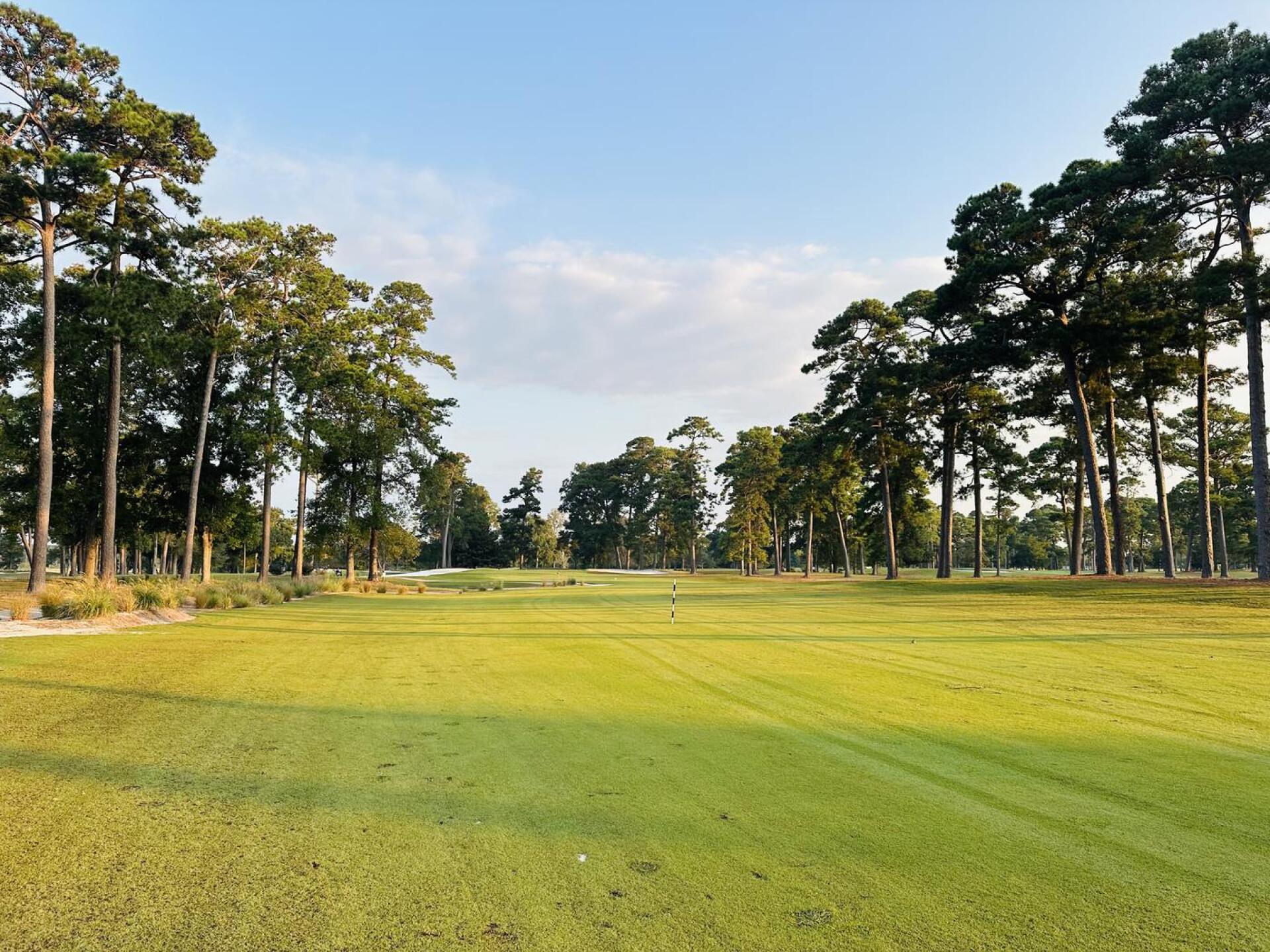 (Photo submitted by jcrayner1 on 10/08/2024)