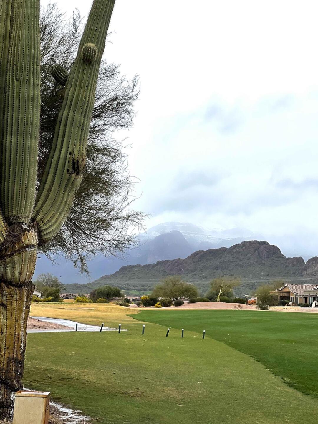 (Photo submitted by u000004424332 on 03/03/2022)