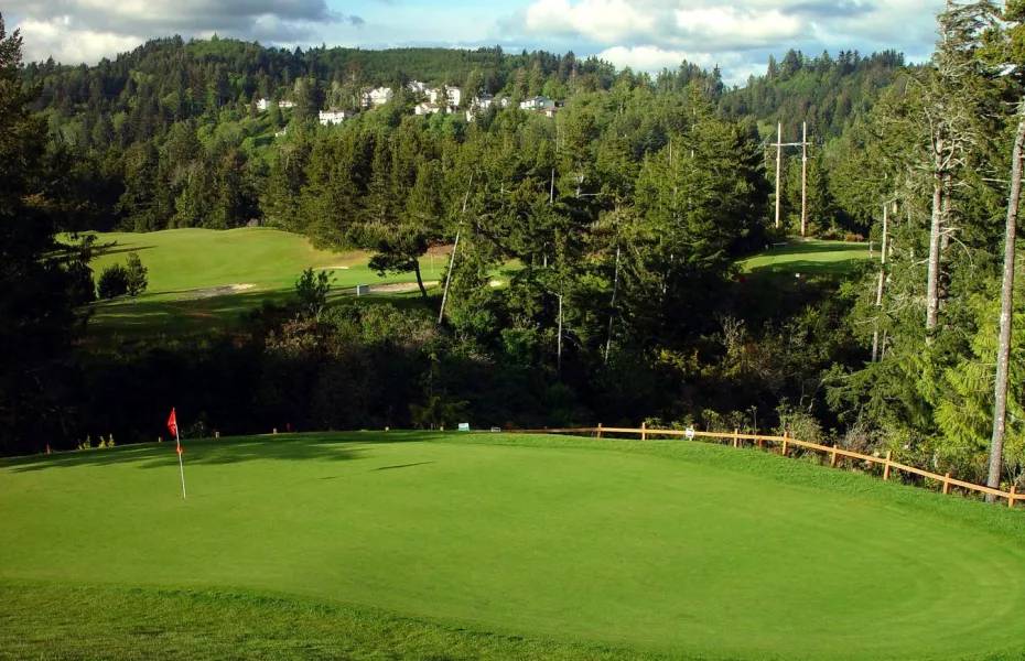 Ocean Dunes Golf Links: #12