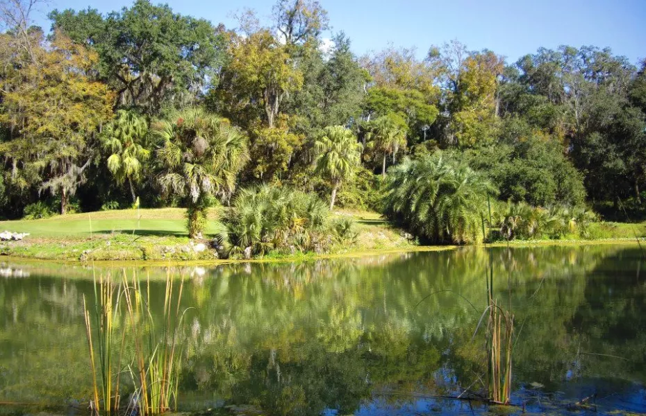 Shady Brook Golf & RV