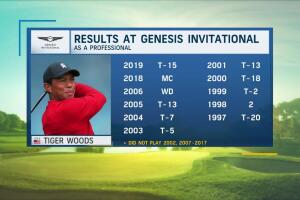 Tiger's 2020 New Year's Resolution
