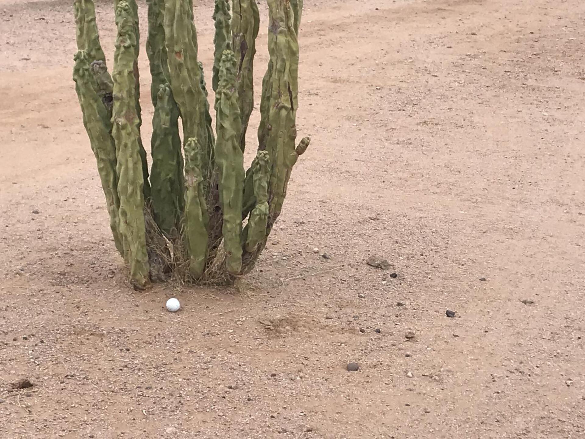 Yeah, he still earned par on 11 (Photo submitted by u314160892640 on 04/27/2021)