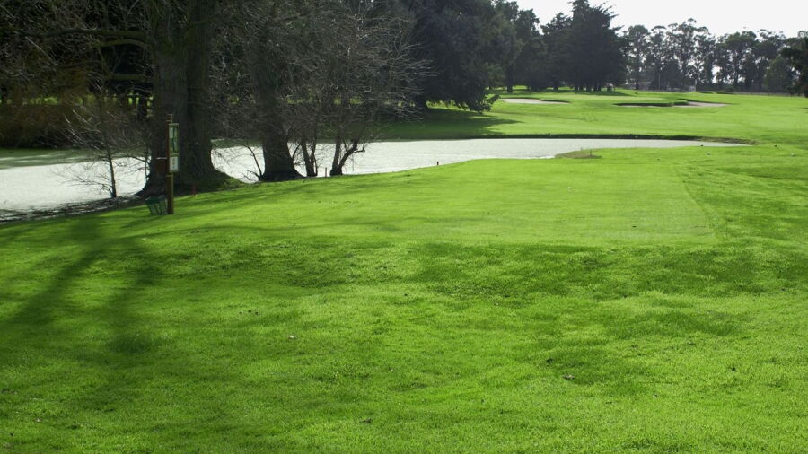 Club Mar del Plata Golf Los Acantilados - Yellow