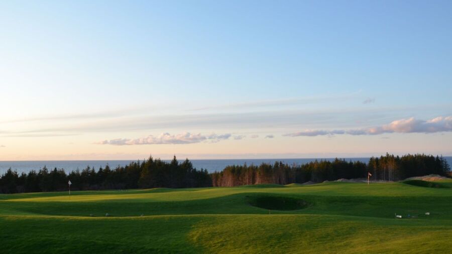 Cabot Links - The Nest