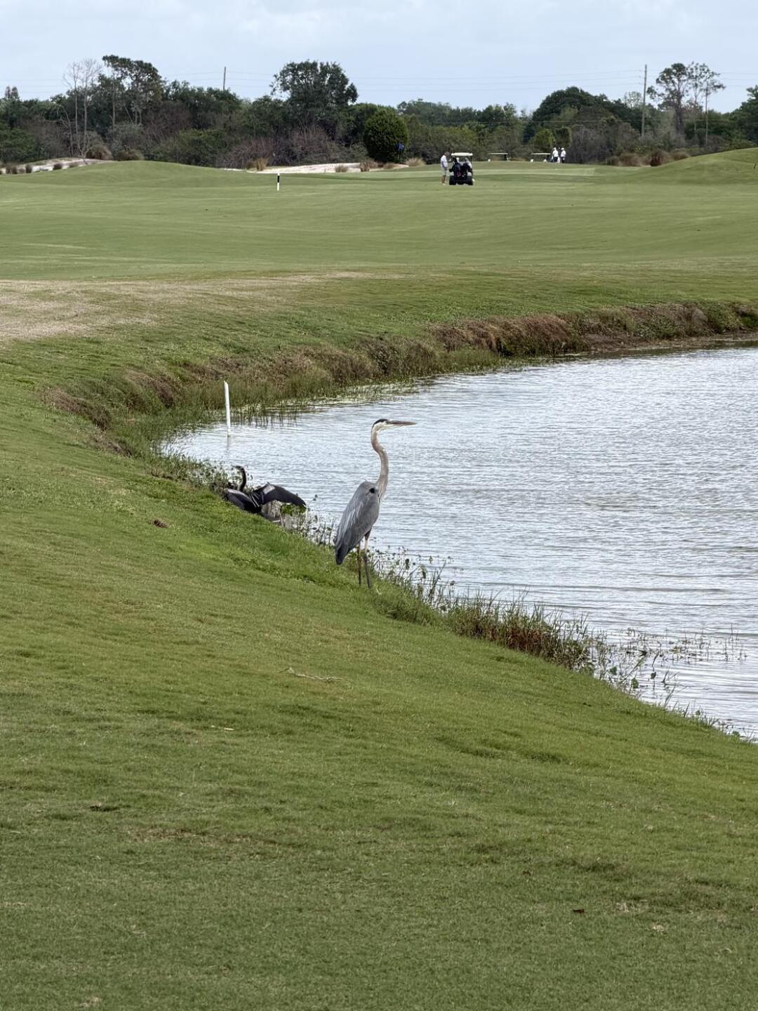 (Photo submitted by dlpetrella on 04/01/2026)