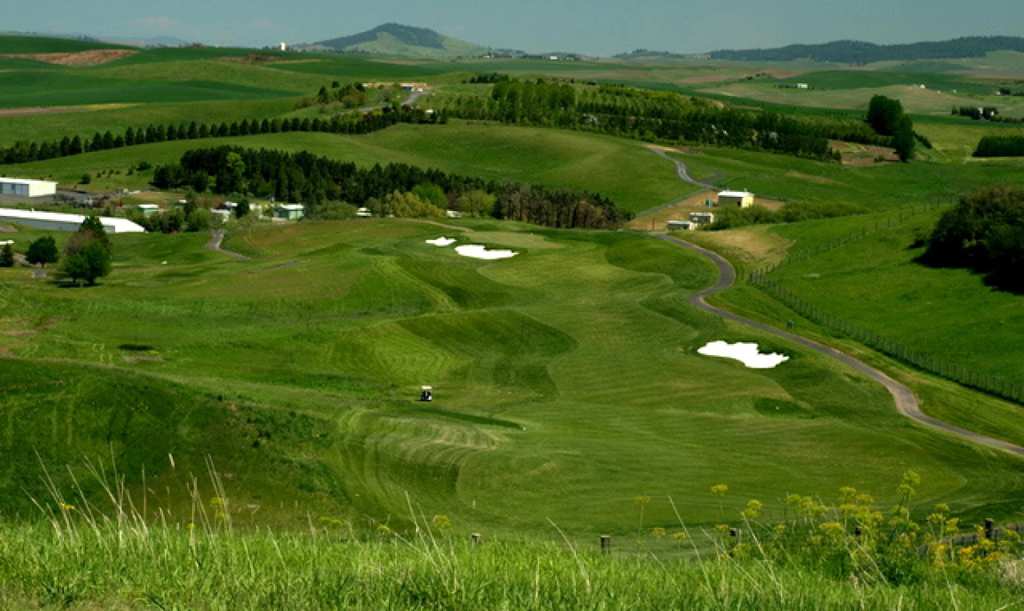Palouse Ridge Golf Club - Washington