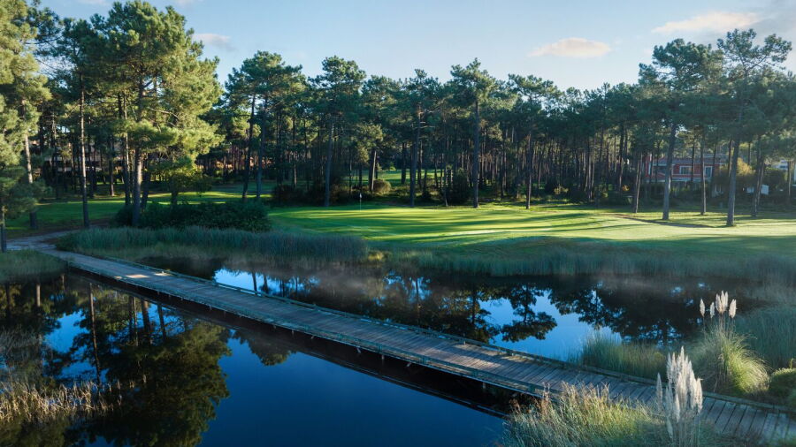 PGA Aroeira No. 2: #6