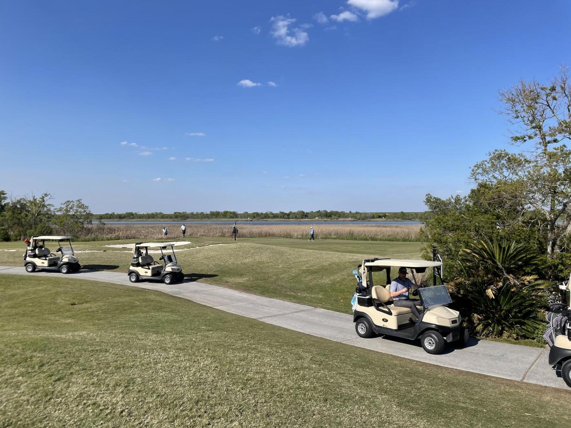 Everybody has to wait and wait some more! (Photo submitted by u554211756 on 03/21/2023)