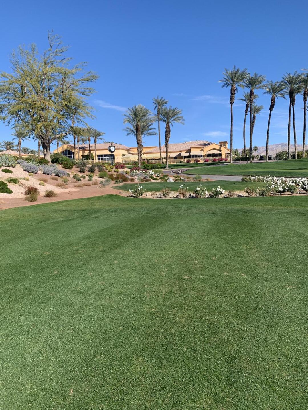 (Photo submitted by Bobams on 01/15/2021)