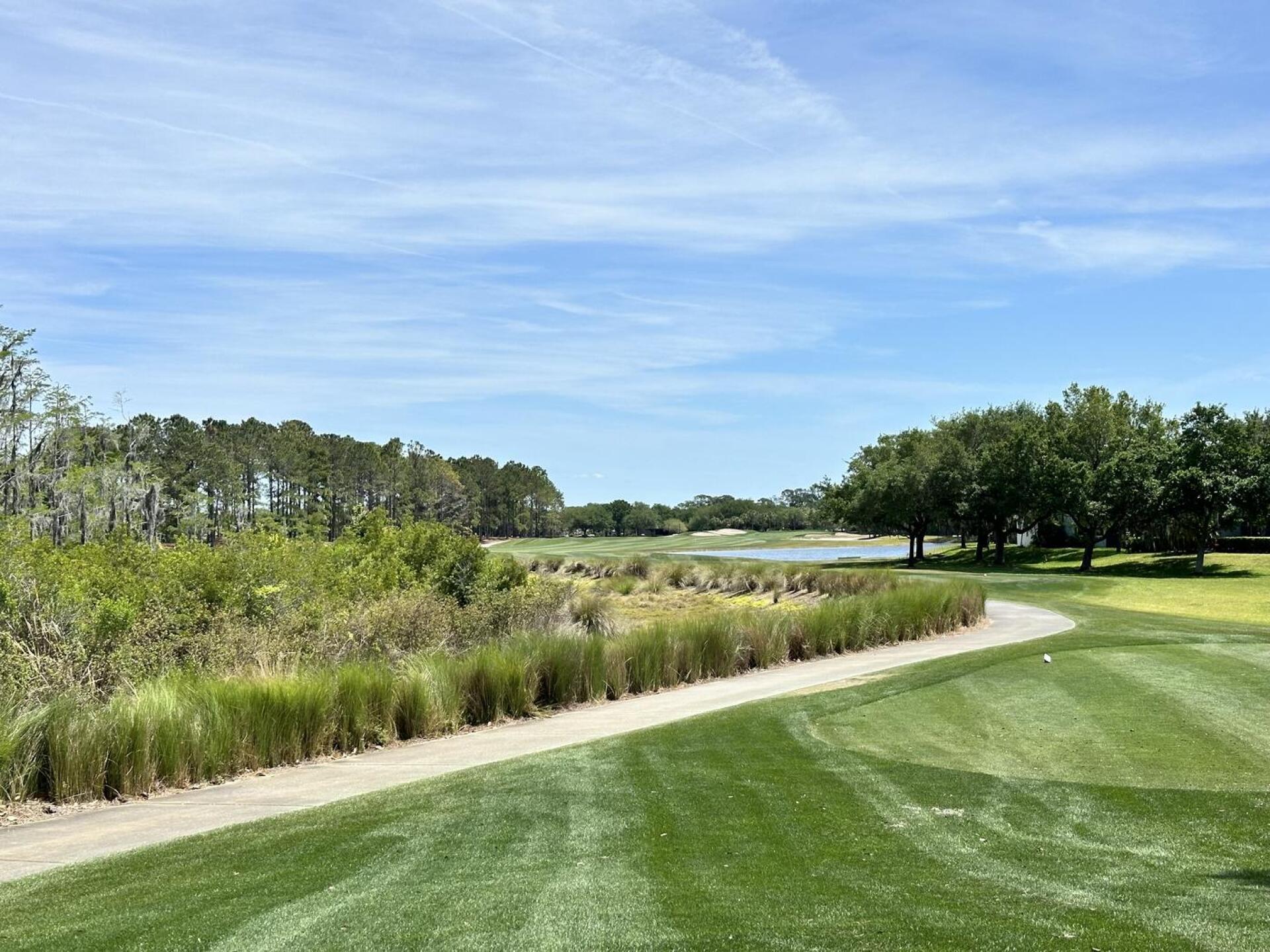 (Photo submitted by u314161790046 on 04/10/2024)