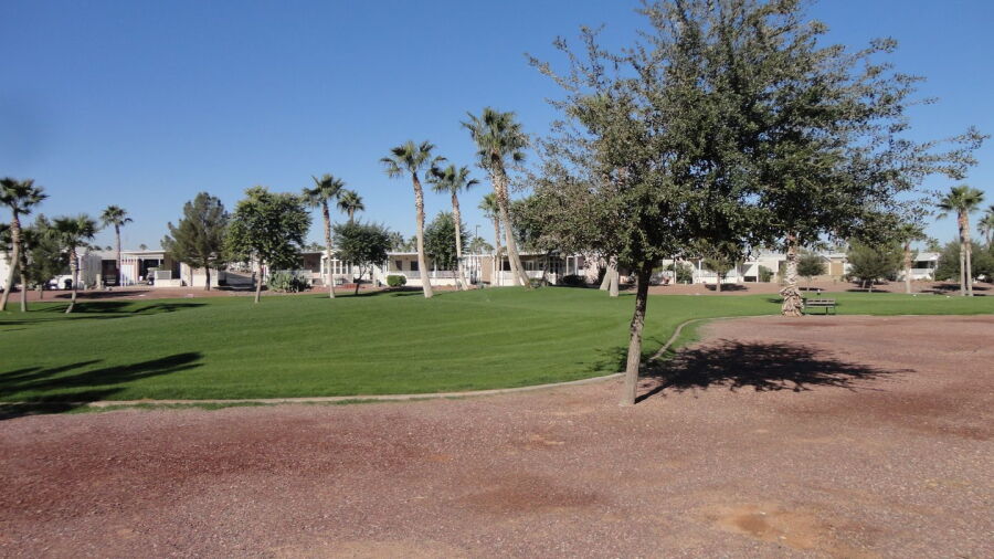 Palm Creek GC
