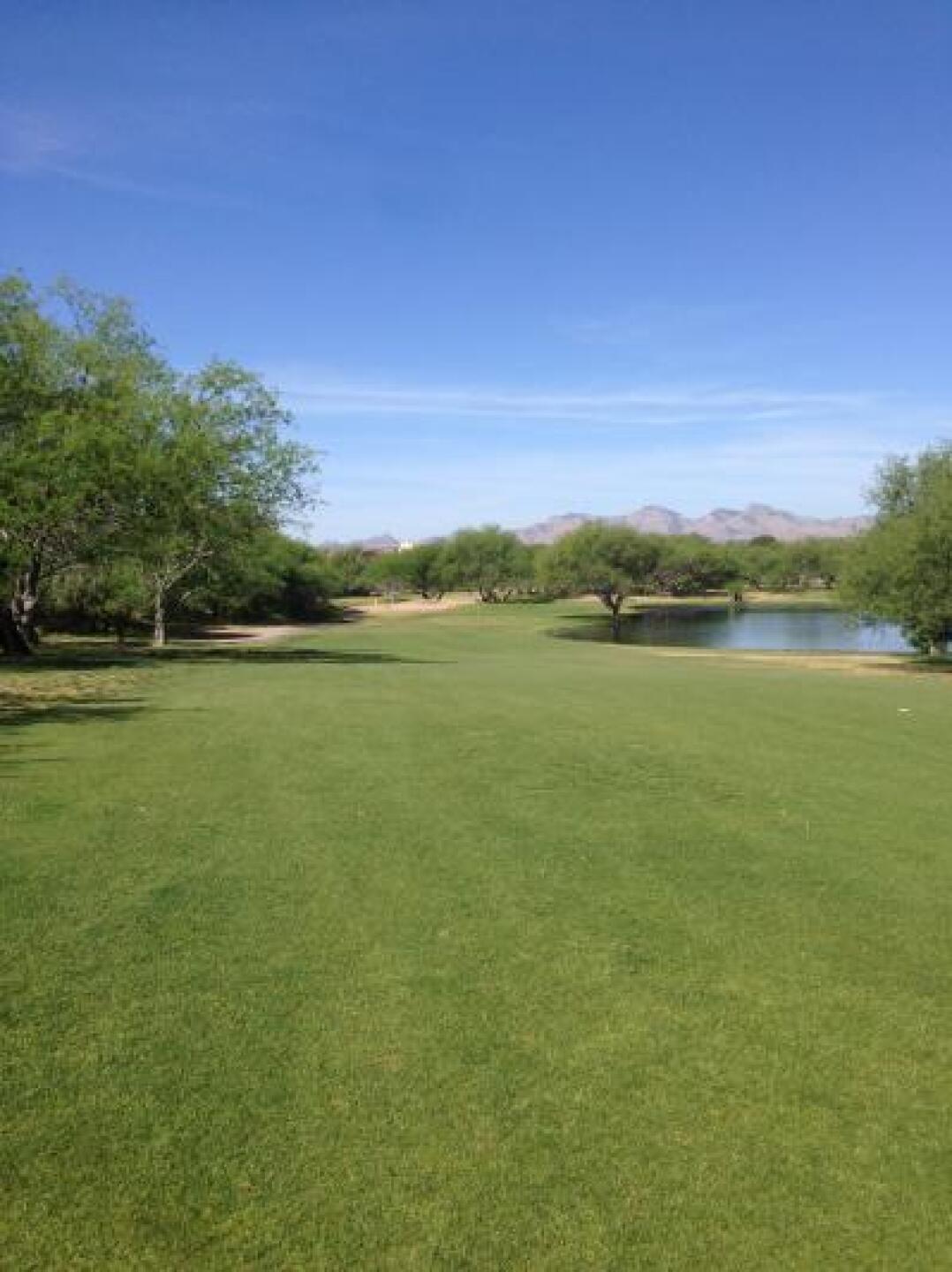 16th (Photo submitted by Curtis1388379 on 04/23/2014)