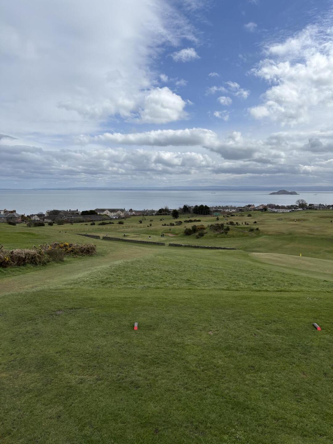 (Photo submitted by Gmacca09 on 04/06/2026)