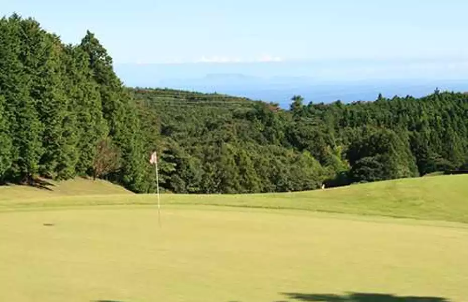 Inatori GC - Wood