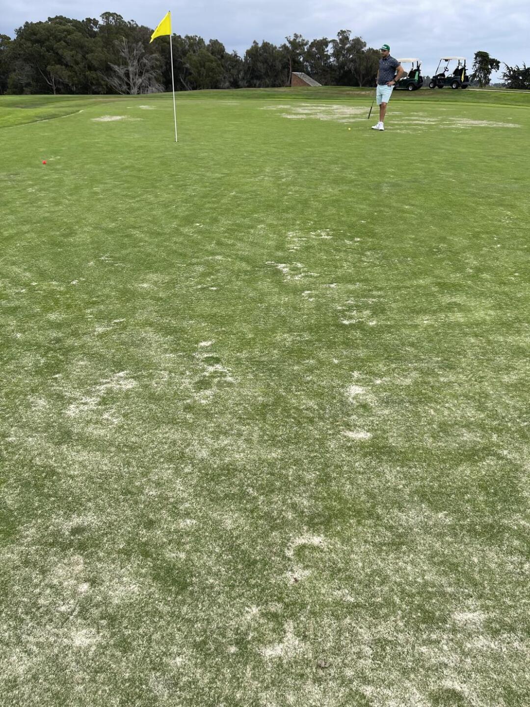 (Photo submitted by u661132686 on 08/22/2021)