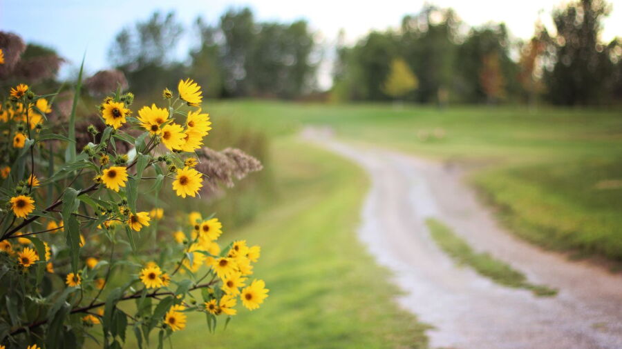 Country Drive GC