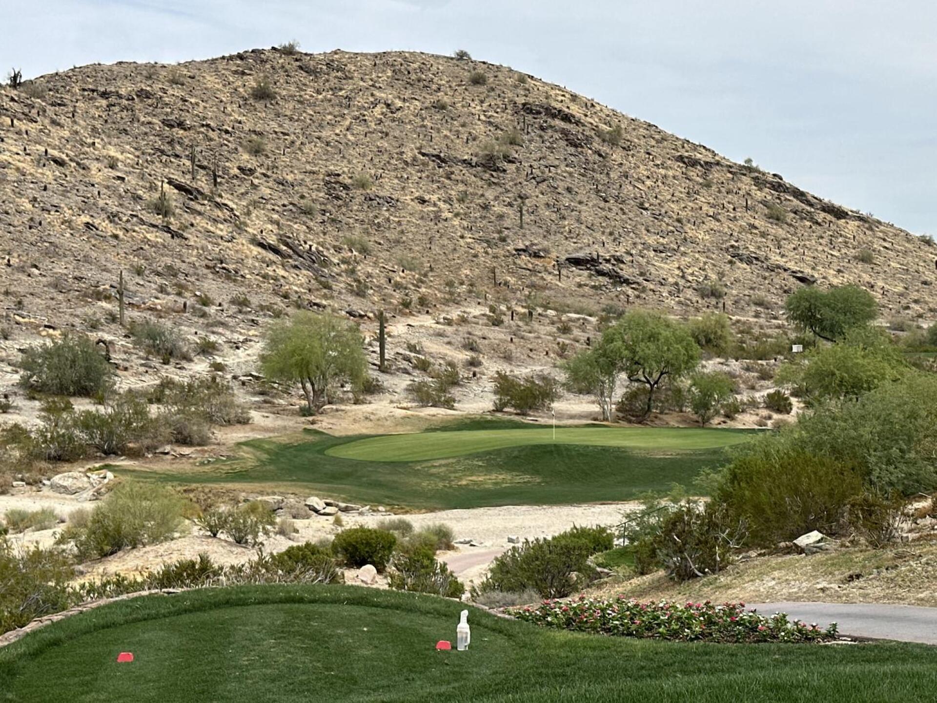 (Photo submitted by plumcuda1 on 04/20/2026)