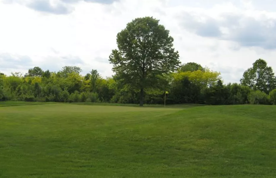 Charleston Springs GC - North: #13