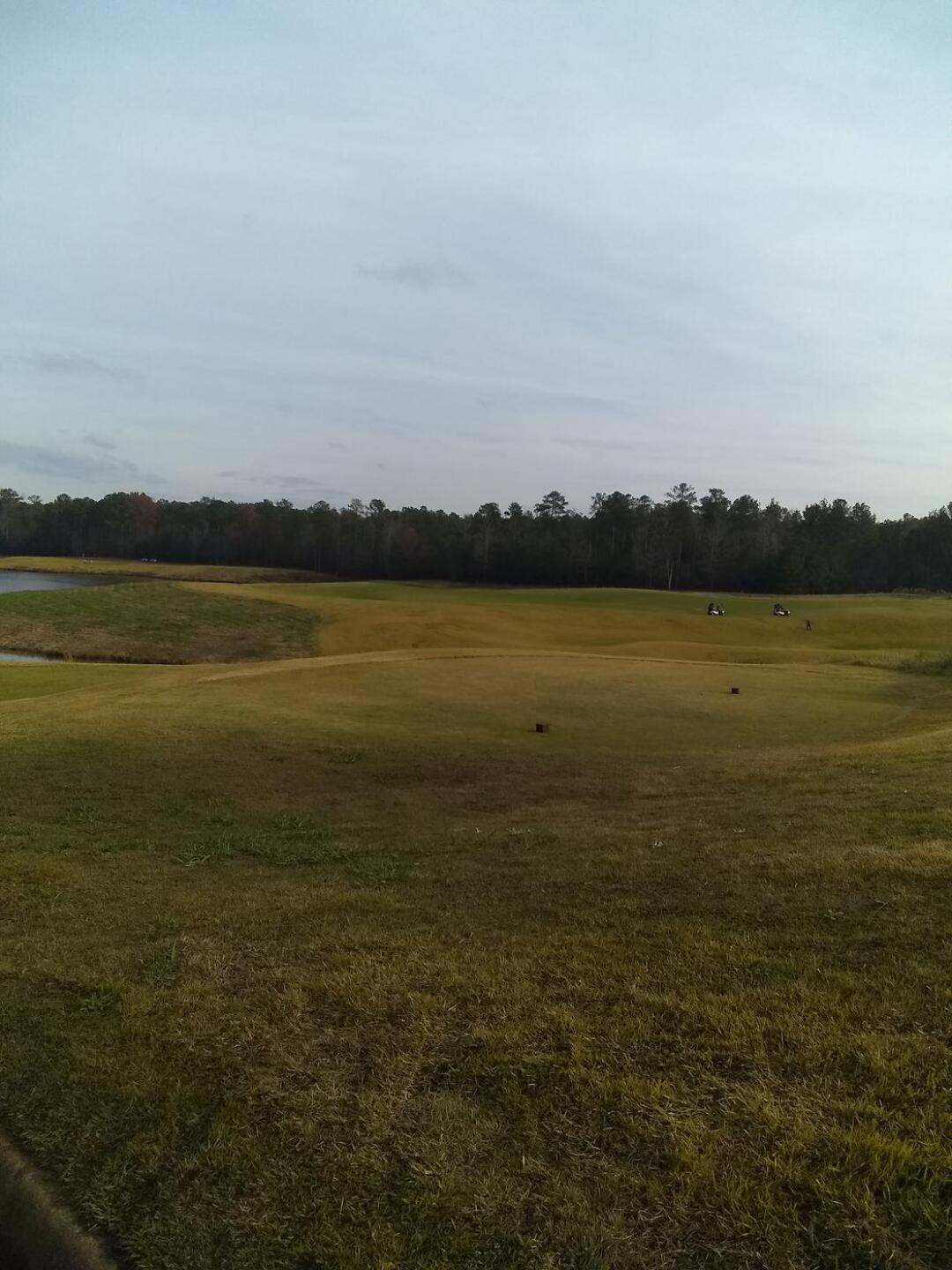 (Photo submitted by jonnybear77 on 11/29/2020)