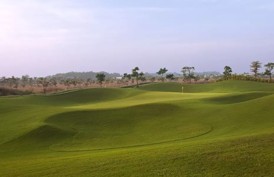 Twin Doves GC - Sole