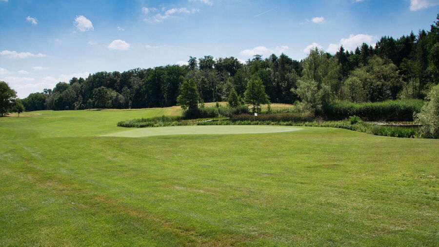 Schloss Langenstein GC - Championship