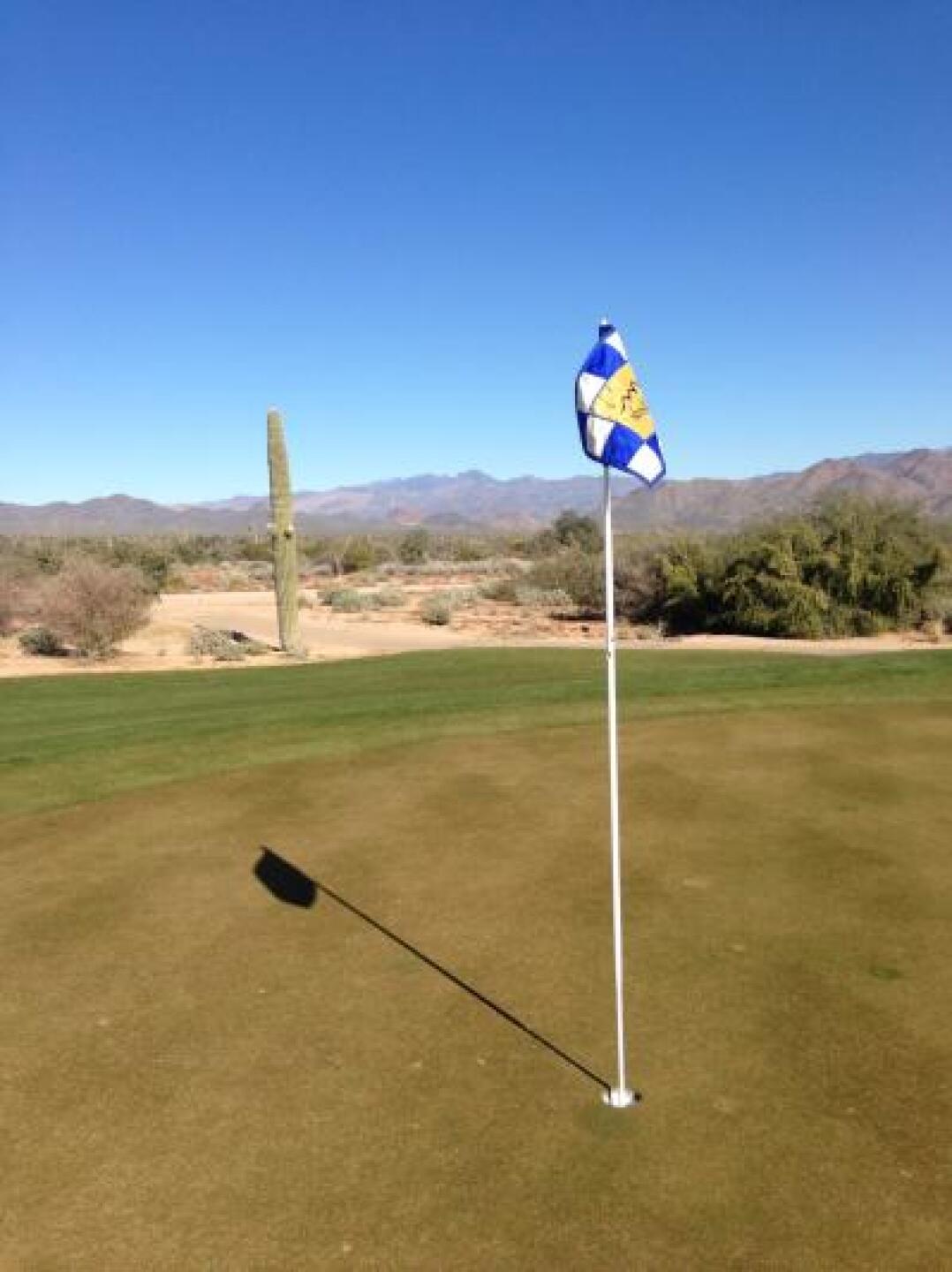 (Photo submitted by Vsgoddard on 06/08/2013)