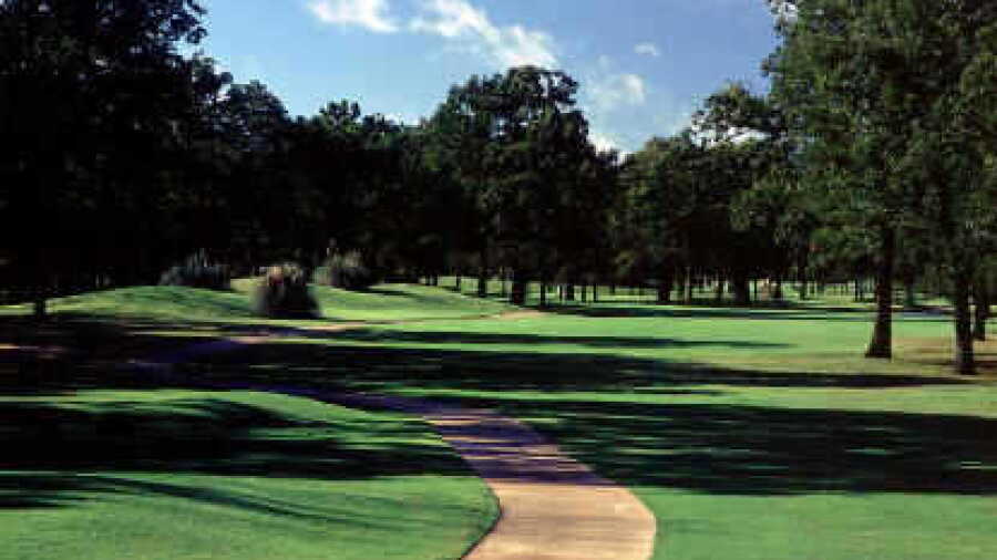 Pinnacle C: #12