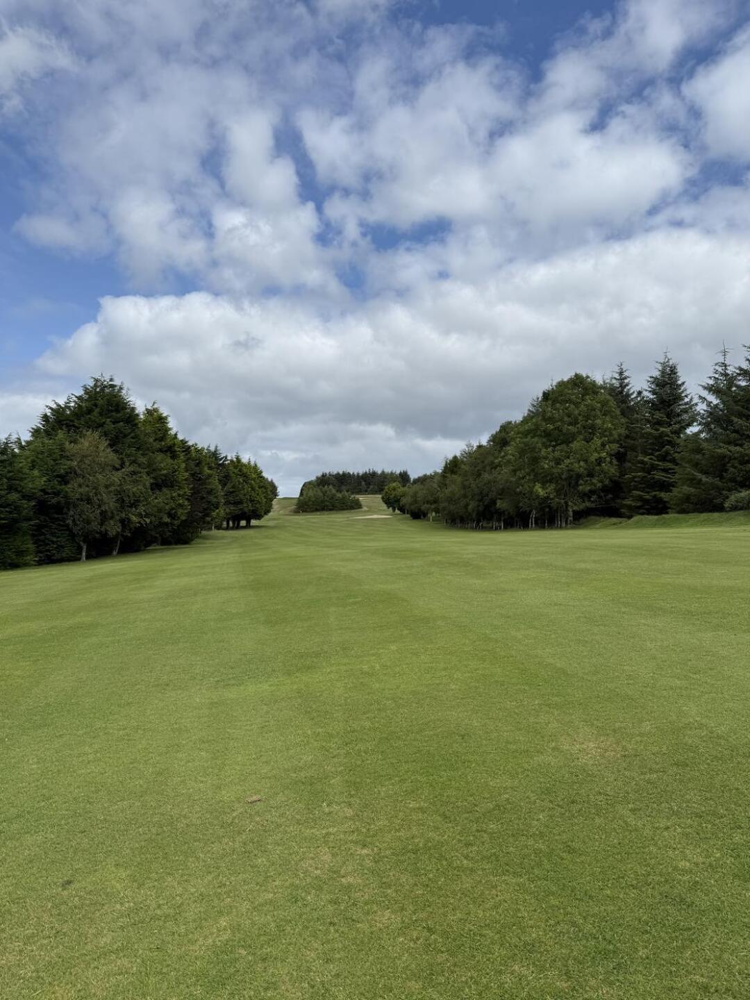 (Photo submitted by FYBWQQ8MttnkETgHQmEZ on 08/08/2025)