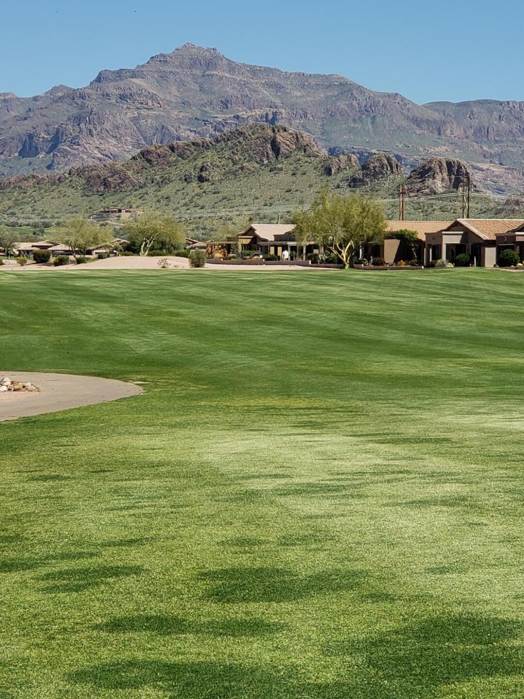 (Photo submitted by tnt9796 on 03/21/2020)