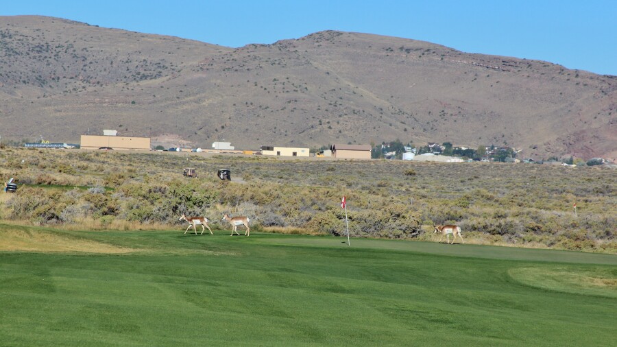 Rochelle Ranch Golf Course - hole 8