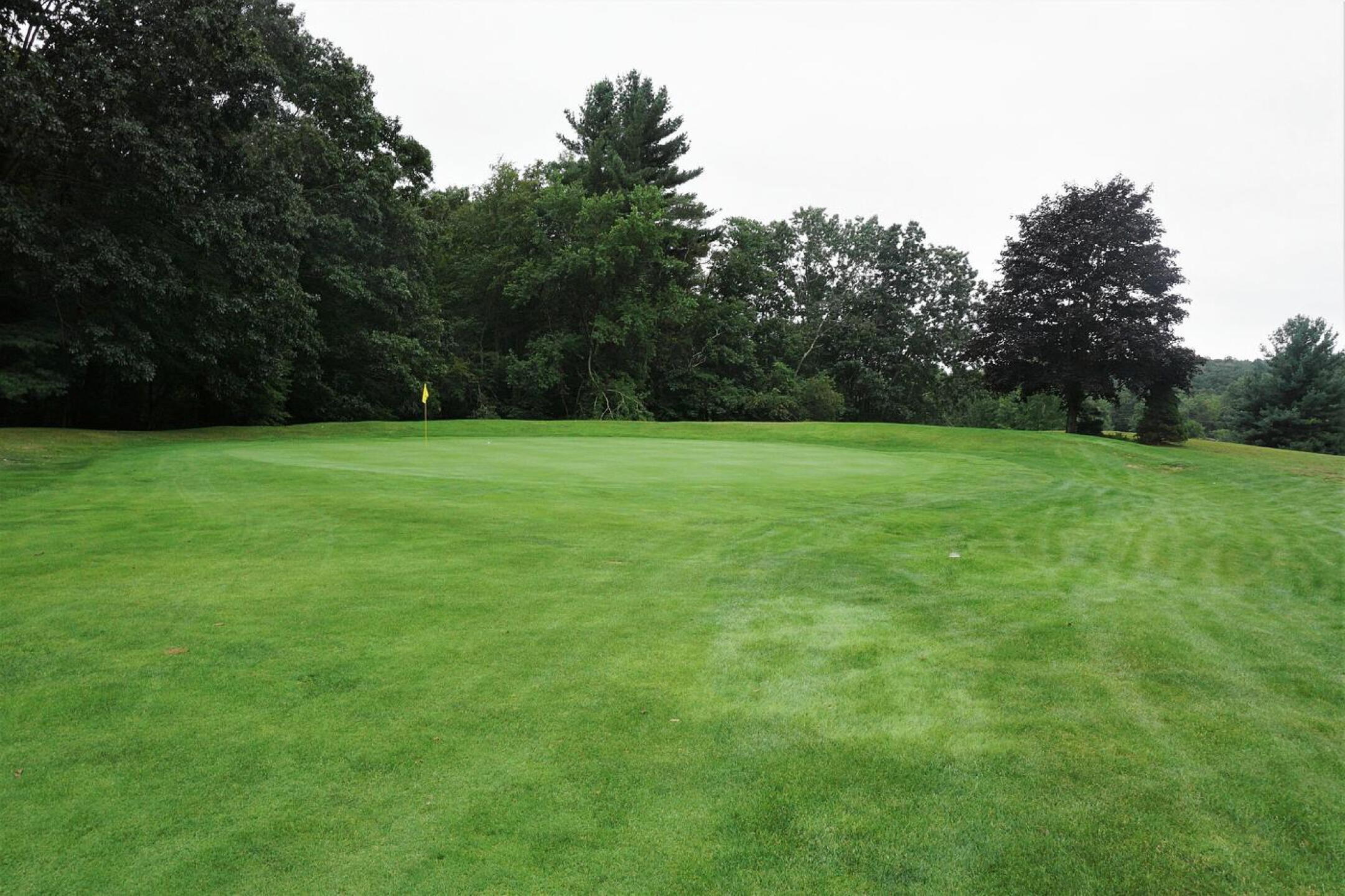 14th: Two carefully placed shots are what it takes to find the green in two on this par-4. (Photo submitted by AptlyLinked on 09/03/2021)