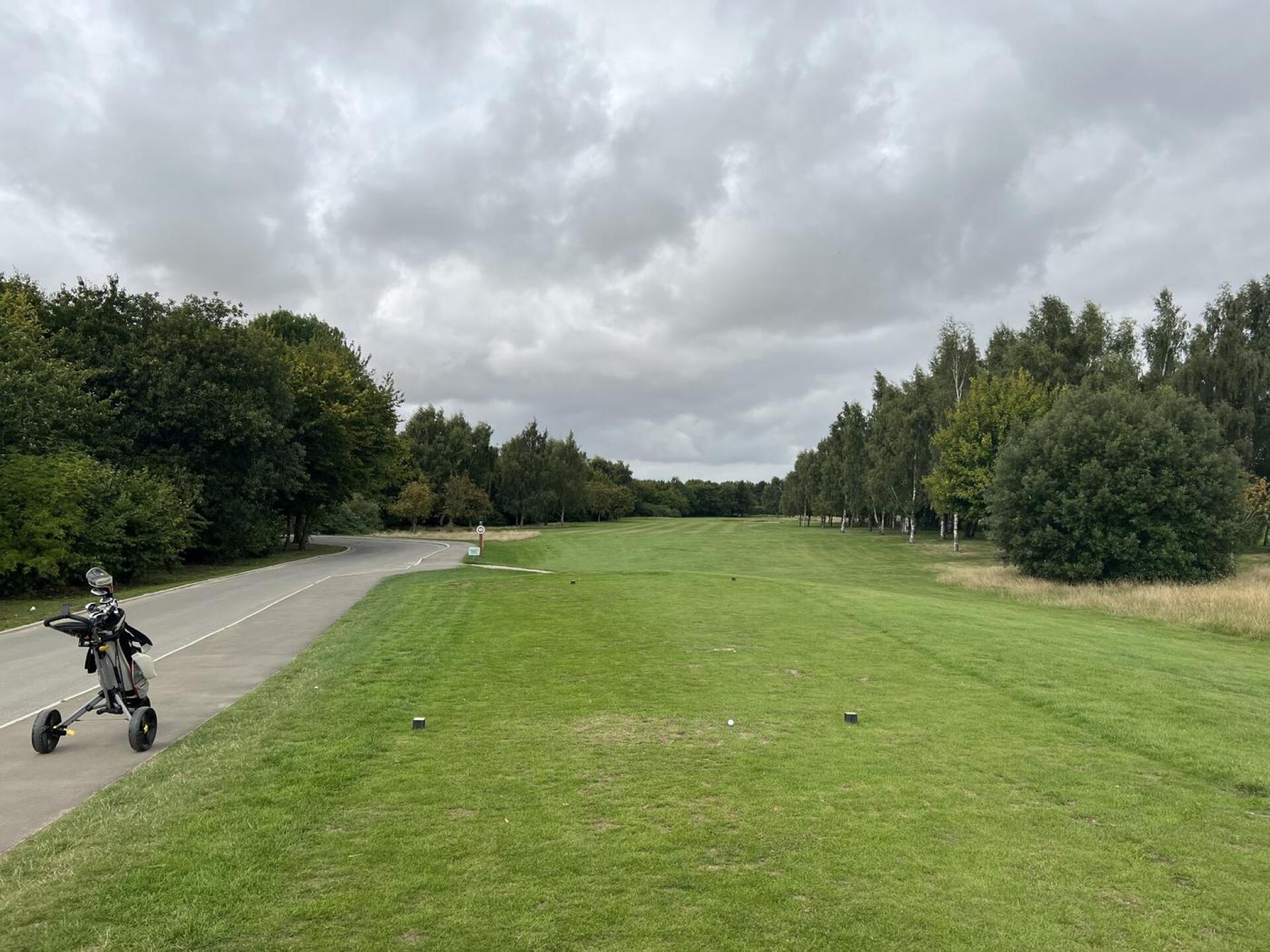 (Photo submitted by Shenaf26 on 08/31/2022)