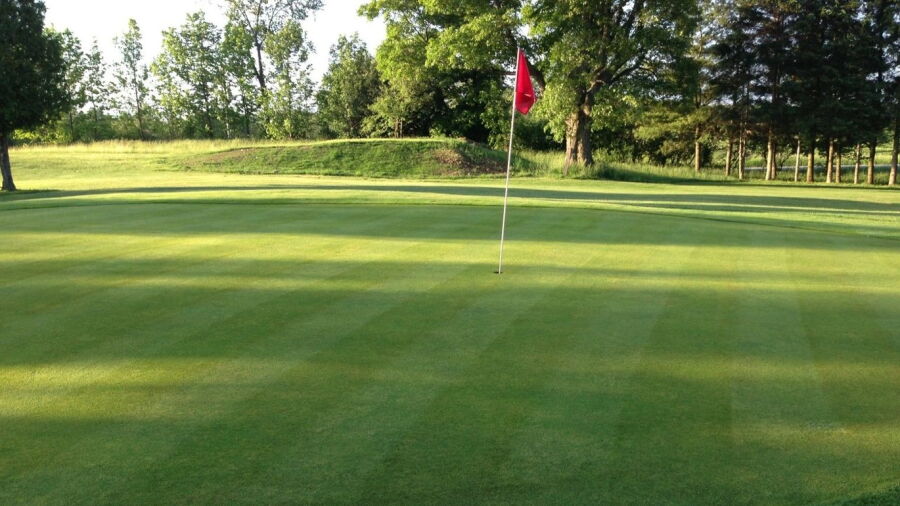 Mount Forest GCC