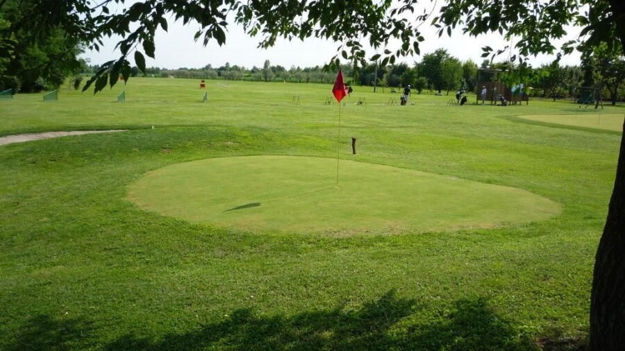 Tartaruga GC