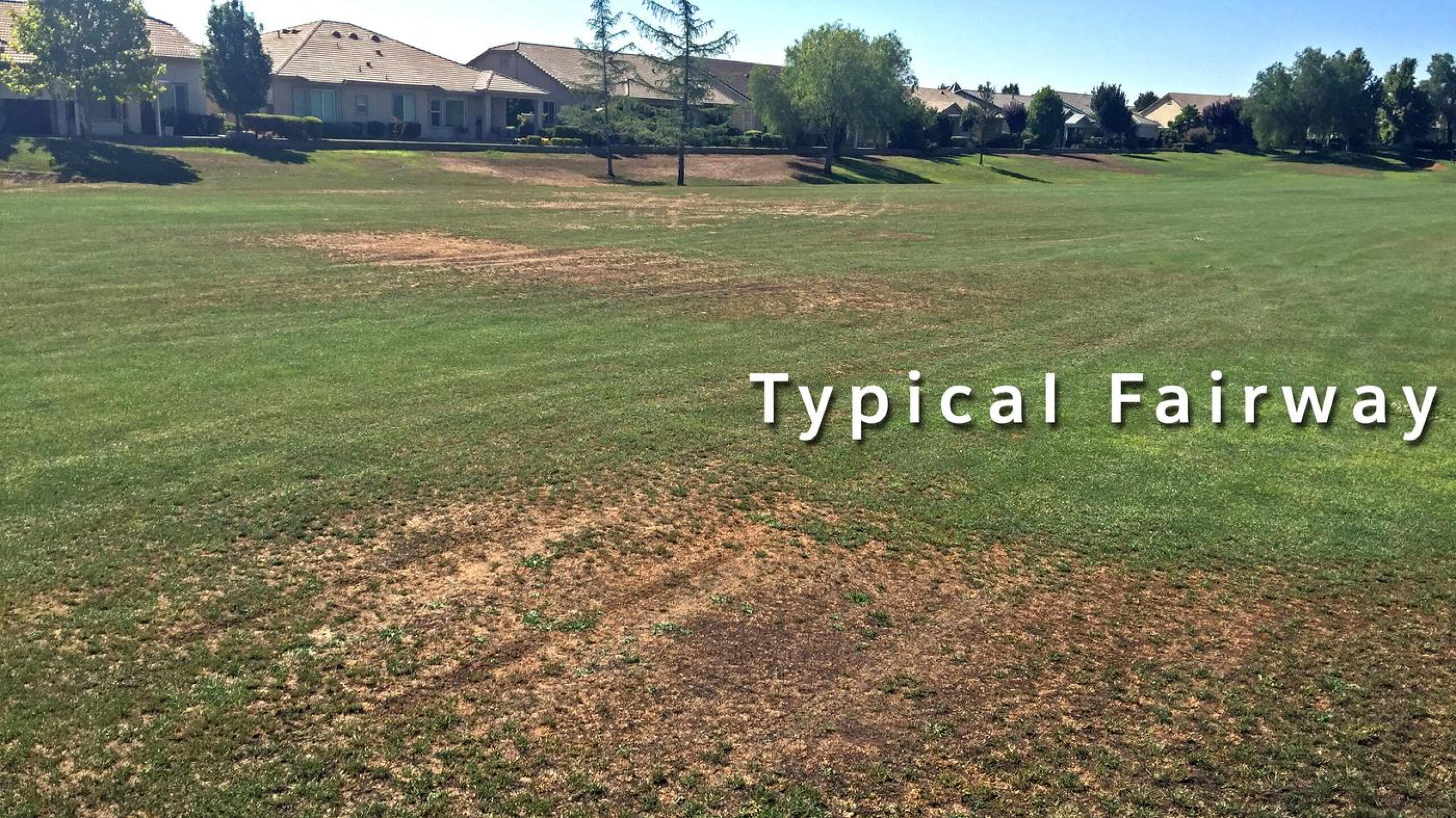 Fairways were awful. Not because of the drought. This course has reclaimed water and it was very muddy in many places. Seems like their grounds crew is off for 2015. (Photo submitted by danstone360 on 07/25/2015)