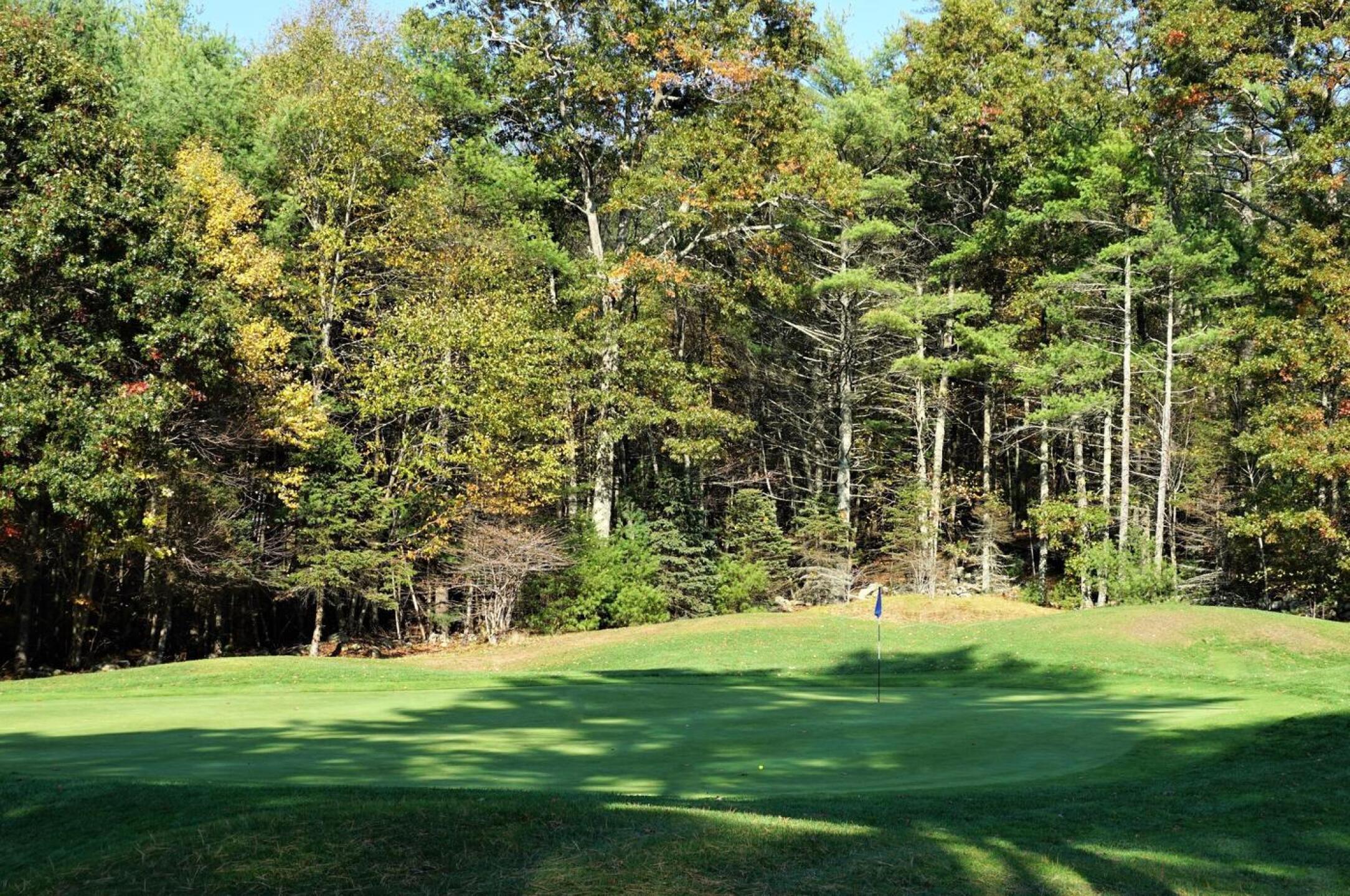 Green three as seen in the late afternoon shadows. (Photo submitted by AptlyLinked on 10/19/2020)