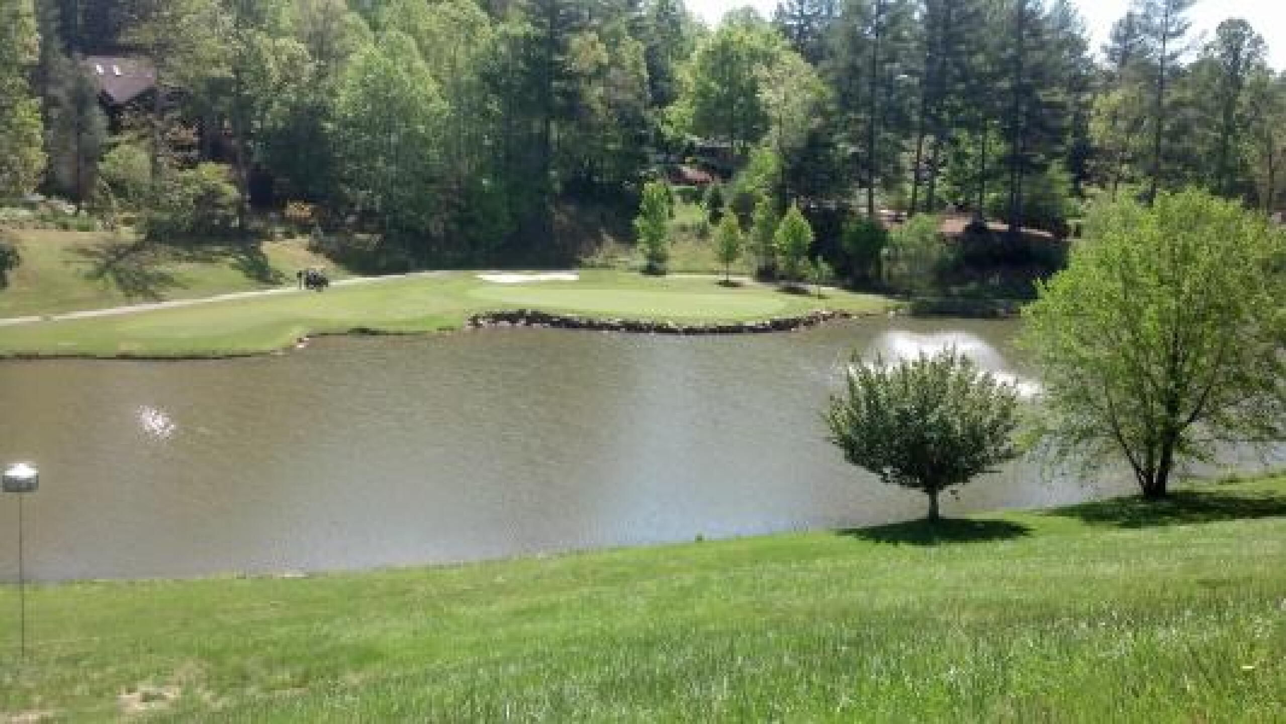 View of hole #10, par 3. (Photo submitted by kmill57 on 05/15/2013)