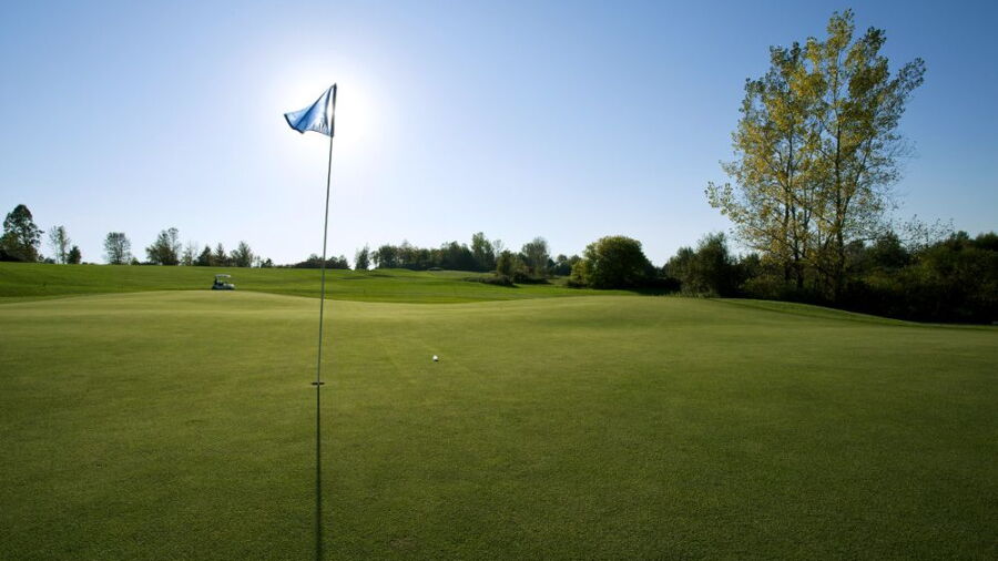 The Pheasant Golf Links - Roc: #2