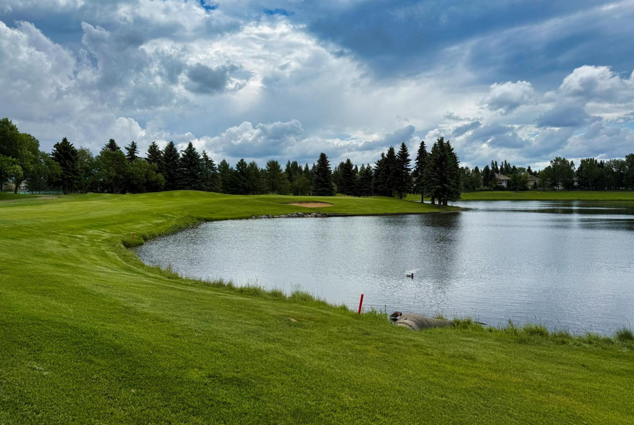 Lewis Estates GC, Hole 11, Pa r 4, 345 yds, 145 yds out (Photo submitted by DYakimec on 08/08/2026)