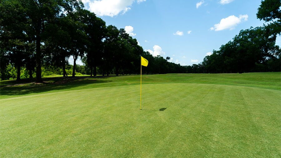 Stephen F. Austin GC