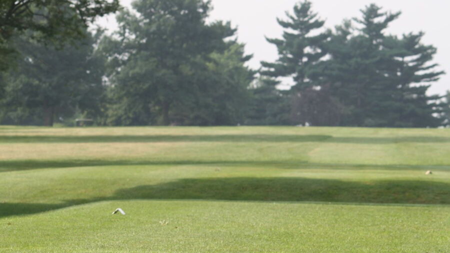 Newman GC