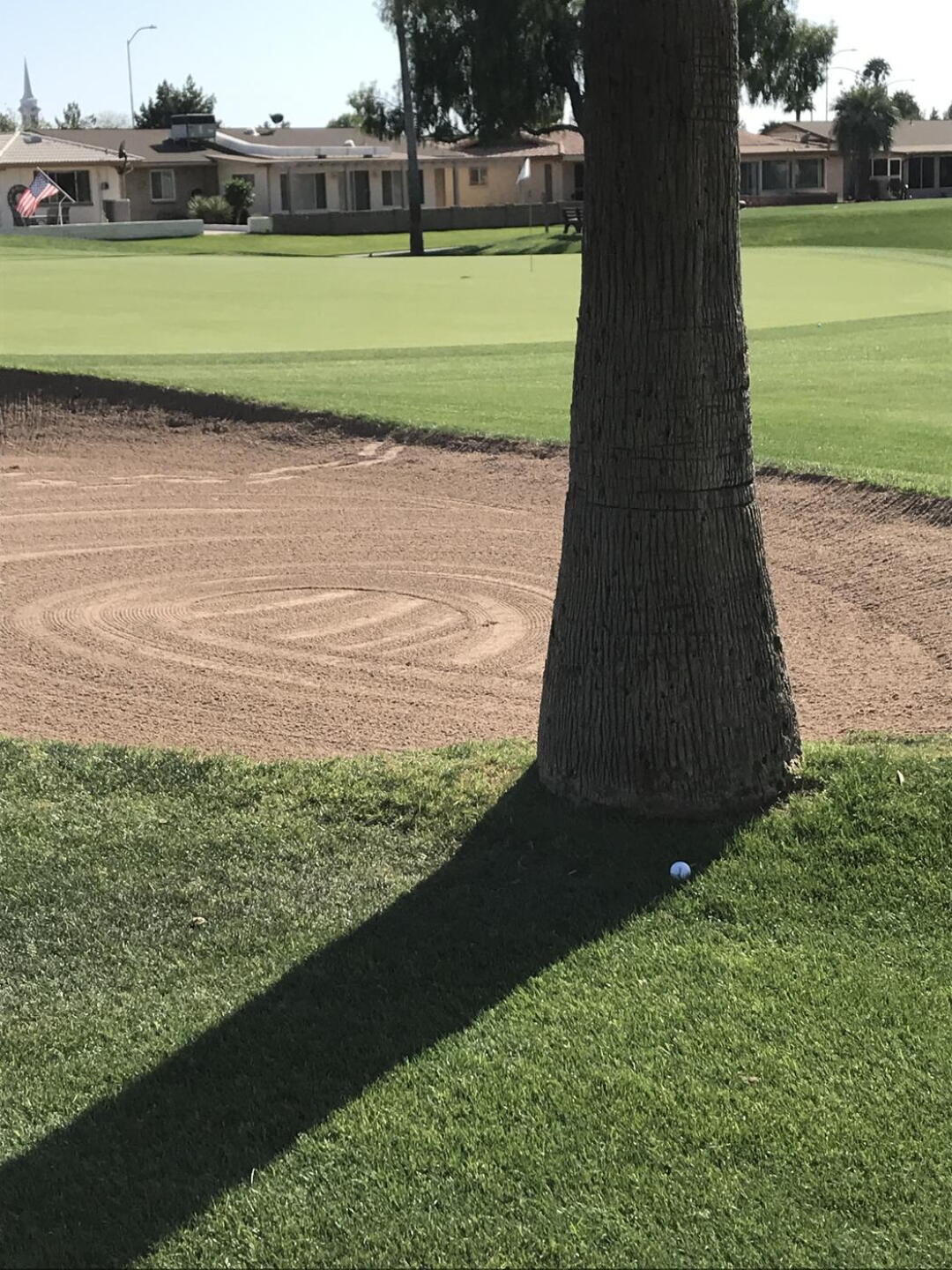 Tough shot for birdie :) He pars it! (Photo submitted by u314160892640 on 04/02/2021)