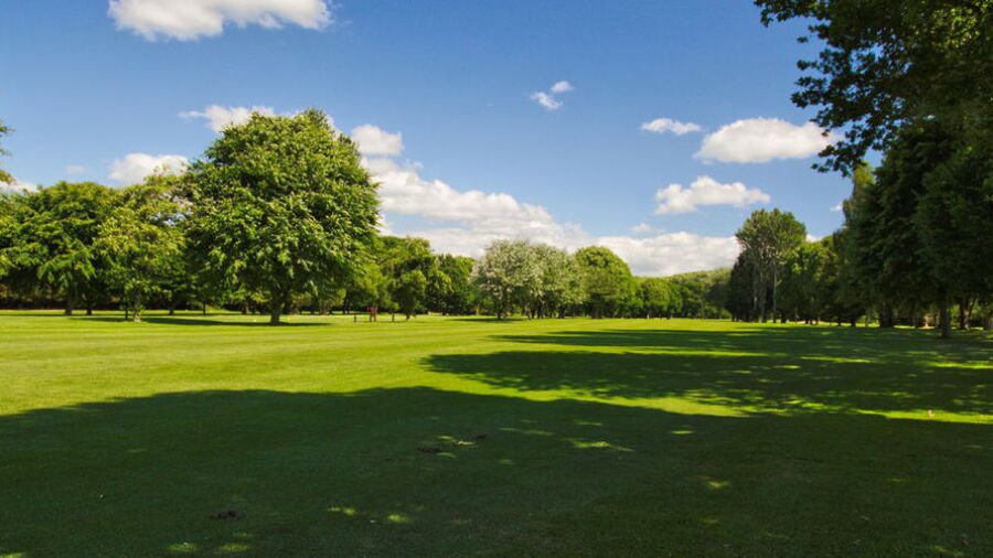 Downes Crediton GC
