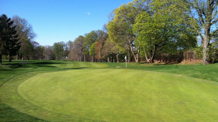 JC Melrose CC: #15