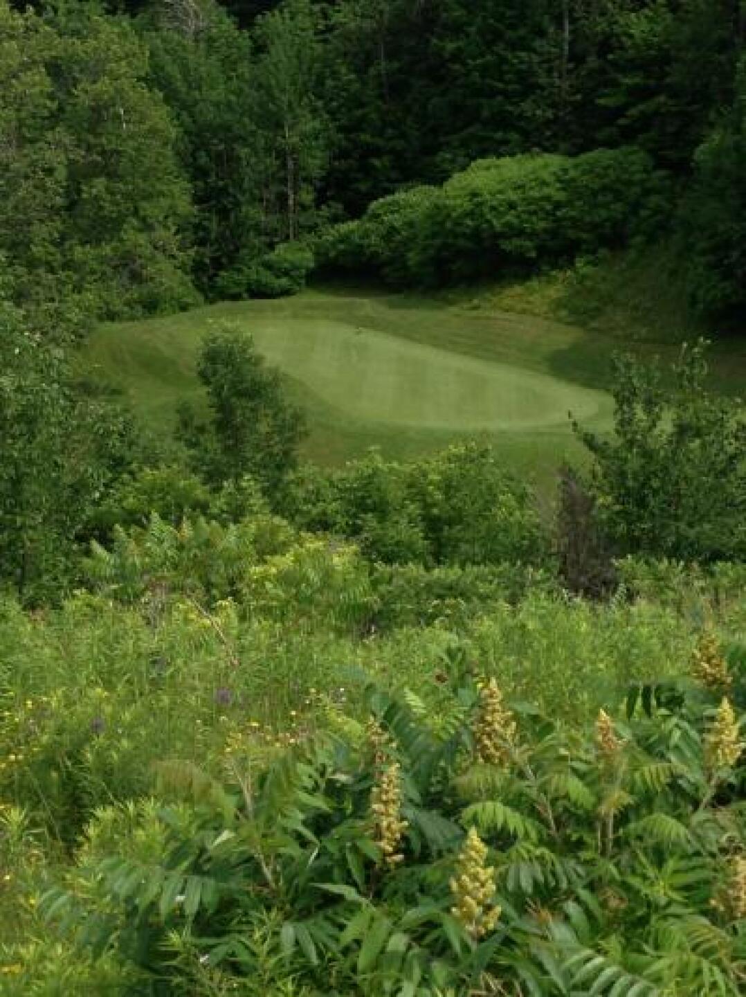 (Photo submitted by erikjen on 07/01/2013)