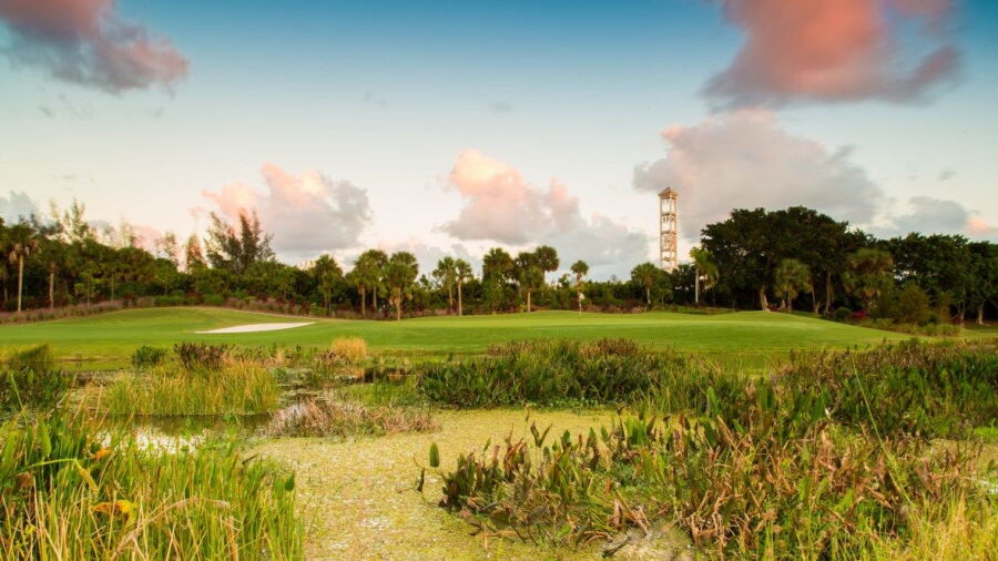 The Preserve at Ironhorse
