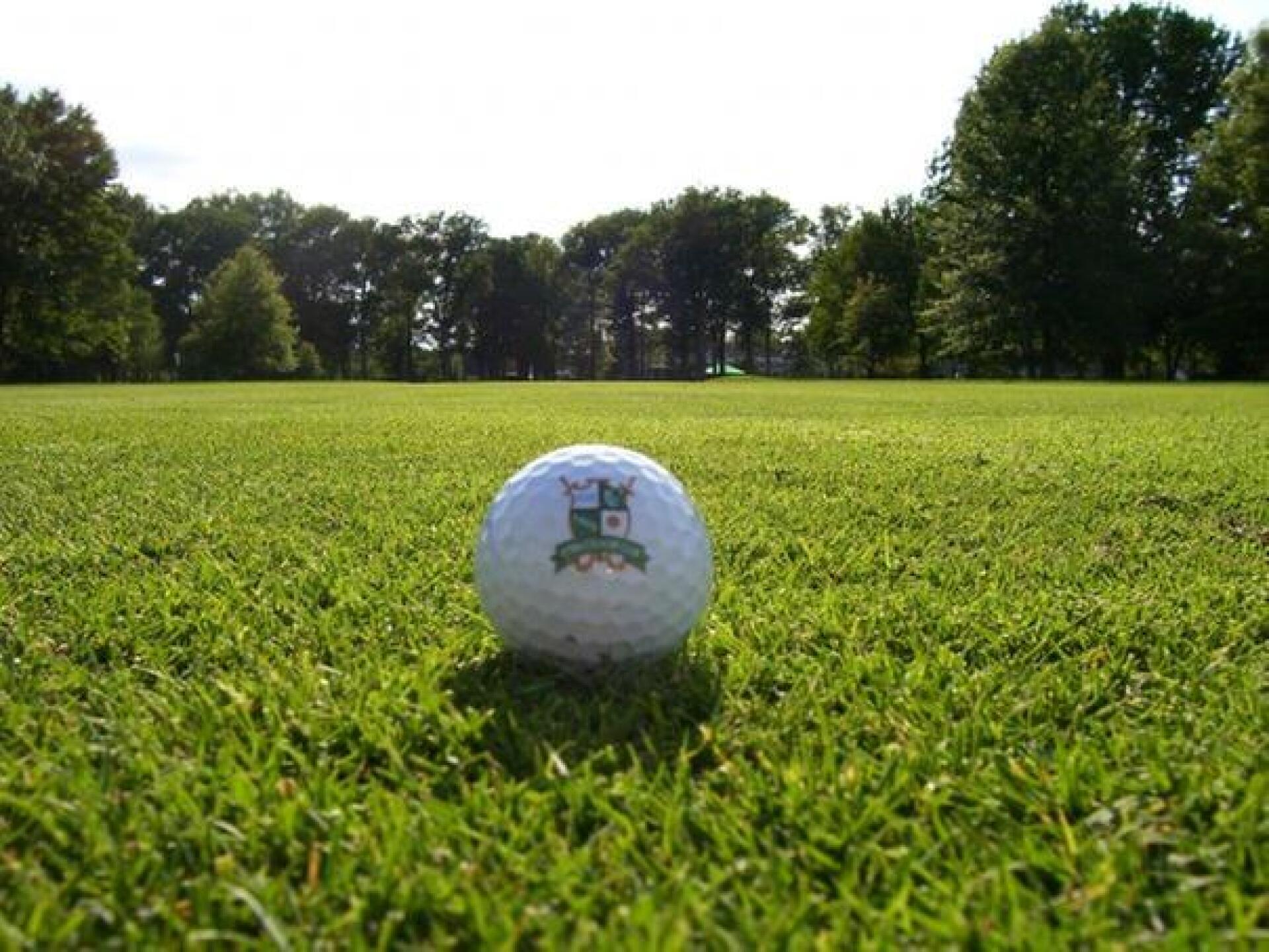 Stay out of trees & water = good score (Photo submitted by DAB4par on 01/03/2019)