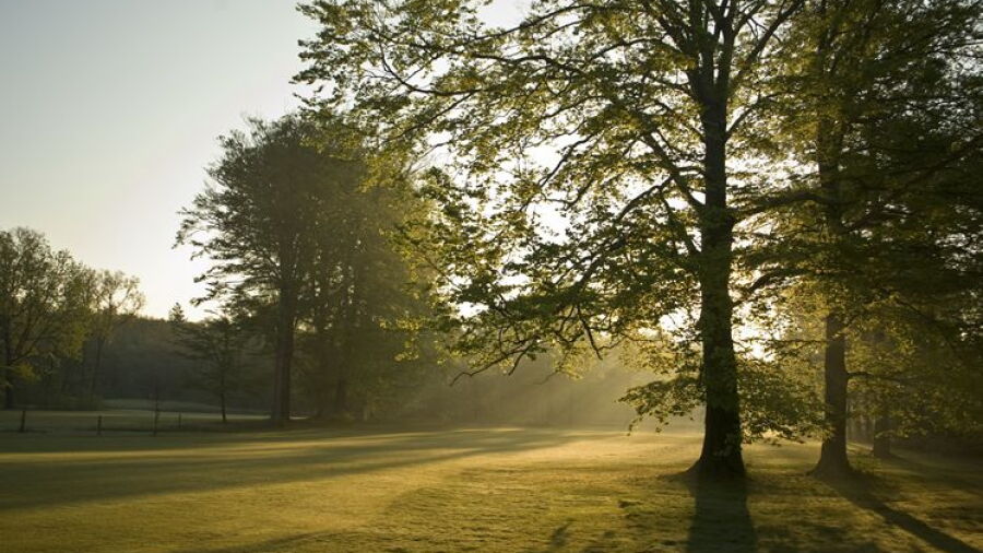 Engelenburg GCC