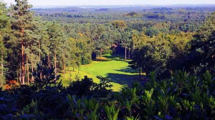 Aerial view at Old Thorns