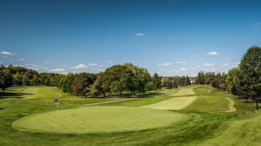 Cutten Fields: #14